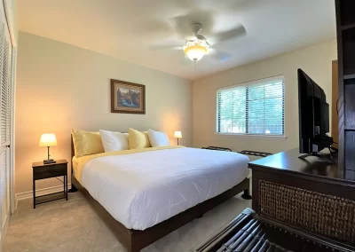 georgetown texas vacation rental master suite
